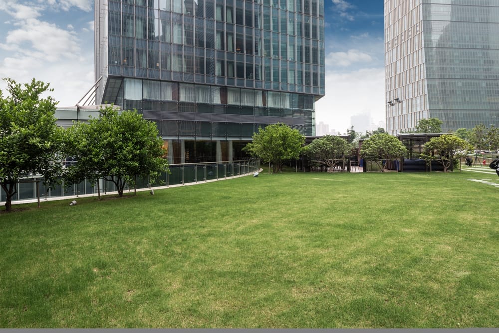 Modern building with green park foreground.